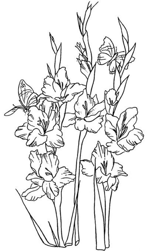 Free Gladiolus Cliparts, Download Free Gladiolus Cliparts png images ...