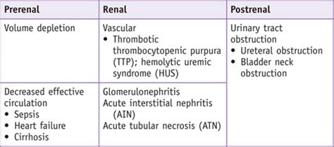 Acute Kidney Injury (Case 12) | Musculoskeletal Key