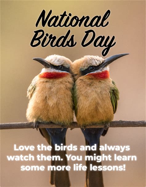 National Bird Day: Celebrating the Beauty of Birds