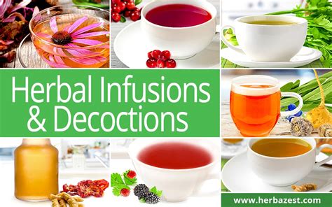 Herbal Infusions & Decoctions | HerbaZest