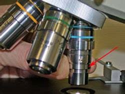 How to parfocal microscope objectives.