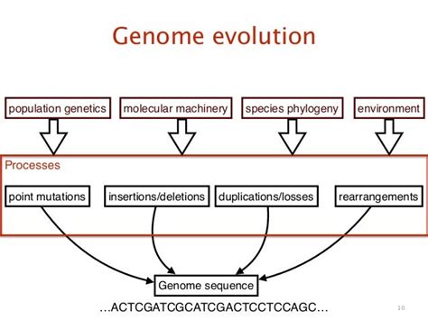 Evolutionary genomics