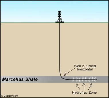 Shale: Sedimentary Rock - Pictures, Definition & More