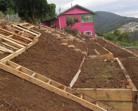 How To Landscape A Steep Slope | Good Life Permaculture | Sloped ...