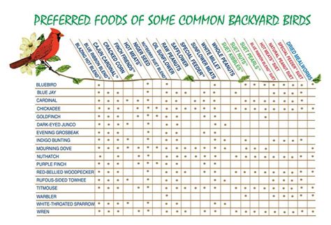 Preferred Foods of some Backyard Birds. | Backyard birds, Wild birds, Birds