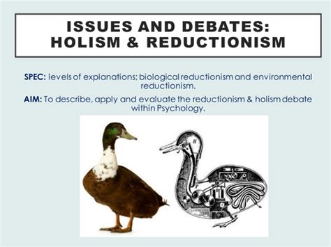 AQA A-Level Psychology Issues and Debates – Holism and Reductionism ...