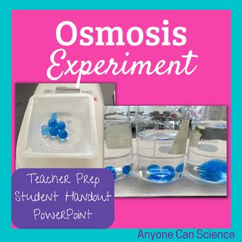 Osmosis Experiment by Anyone Can Science | TPT