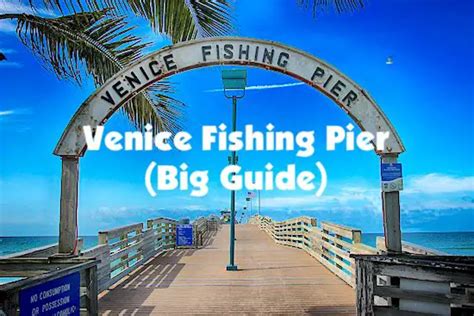 Venice Fishing Pier (Huge Guide!) Salty101