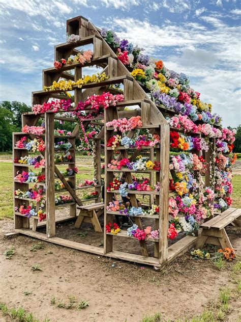 Beautiful Flower Farms in Texas for Flower Picking (2024) - VERY TRULY ...