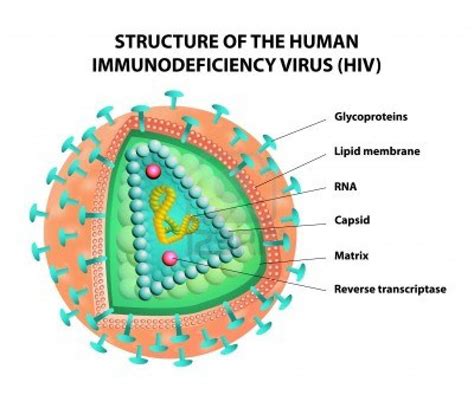 Pin on Virus project