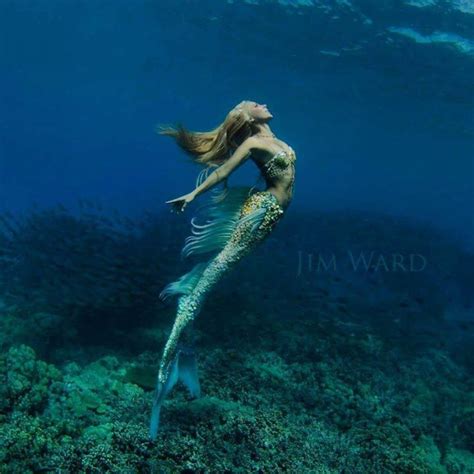 La sirenita humana | Real life mermaids, Mermaid photography, Mermaid ...