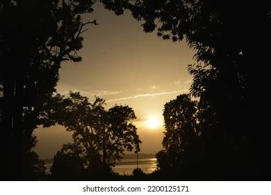 Tree Silhouette On River Sunset Backdrop Stock Photo 2200125171 ...