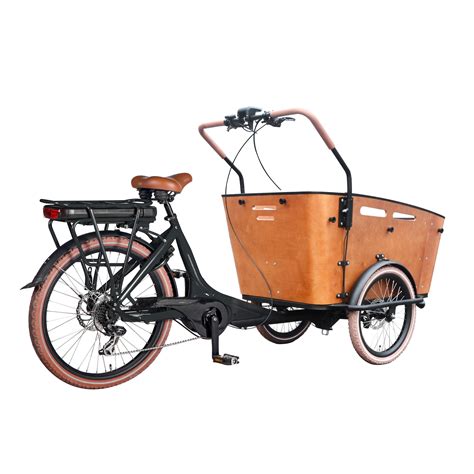 Pedal assist Electric cargo bike three wheel