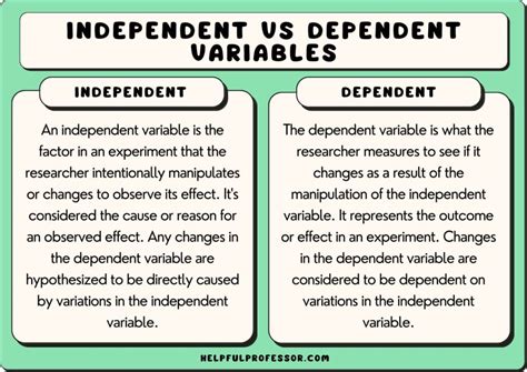 15 Independent and Dependent Variable Examples (2024)