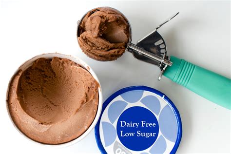 10 Low Sugar Dairy-free Ice Cream Brands and How they Rank