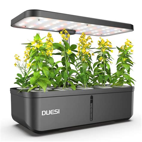 Buy Indoor Garden Hydroponics Growing System, DUESI Upgrade 12 Pods ...