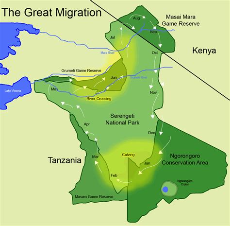 Map of Wildebeest migration in the Serengeti and Masai Mara | sonja ...