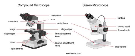 Parts Of Dissecting Microscope