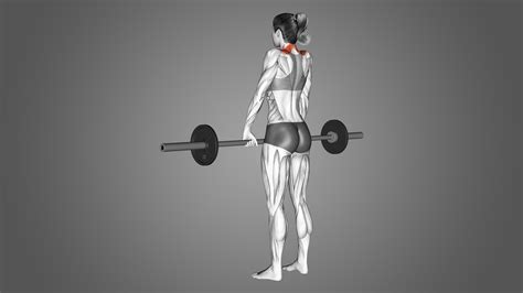 Barbell Shrugs: Benefits, Muscles Worked, and More - Inspire US