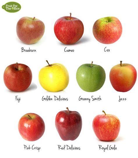 Apple Me Crazy! – Junior Master Gardener