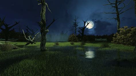 Creepy Swamp At Dark Misty Night Stock Photo - Download Image Now ...