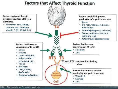 Thyroid Health and Hypothyroid (part 2) - Paula Owens, MS