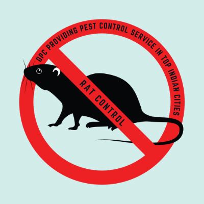 Rat Control Services in Indian Cities | Best Rat Control Services Near You