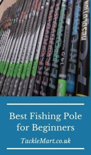 6 Best Fishing Poles for Beginners - (Complete 2023 Guide)