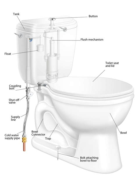 Replacing A Toilet | Pittsburgh Plumbing