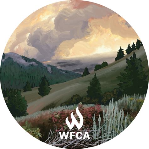 Health Effects of Wildfire Smoke | WFCA