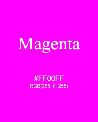 Magenta #FF00FF RGB(255, 0, 255) | Color Term