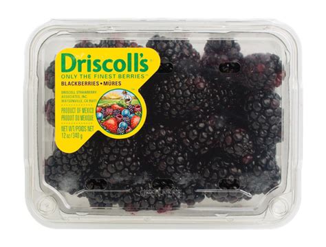 Driscoll Blackberries | Hy-Vee Aisles Online Grocery Shopping