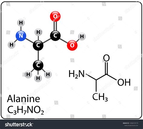 Alanine Molecule Structure: vector de stock (libre de regalías ...