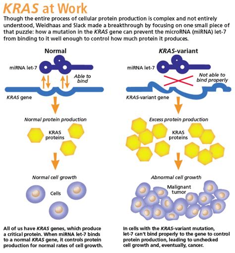 The Little-Known Genetic Mutation Behind Many Aggressive Cancers ...