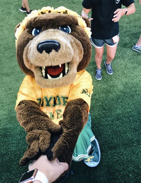 Baylor University Mascot | Baylor university, Baylor football, Baylor