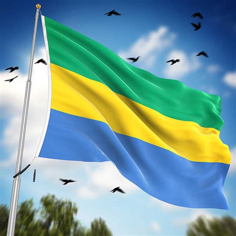 Top 60 Gabon Flag Stock Photos, Pictures, and Images - iStock