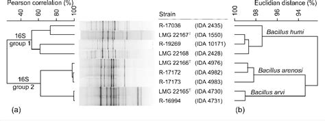 Gram-Positive Endospore-Forming Bacteria | Semantic Scholar