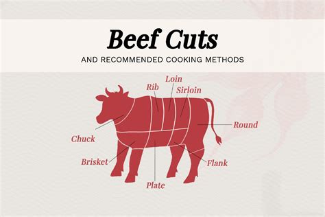 Best Part Of Cow Meat - All About Cow Photos