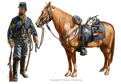 Pin by Gary Miller on История | Civil war artwork, Civil war art, Civil ...