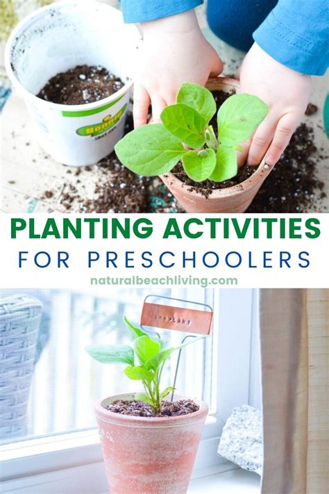 Planting Activities for Preschoolers and DIY Garden Markers - Natural ...