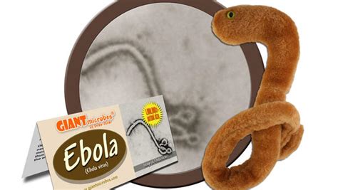 Ebola plush toys for kids "selling like hot cakes" - CBS News