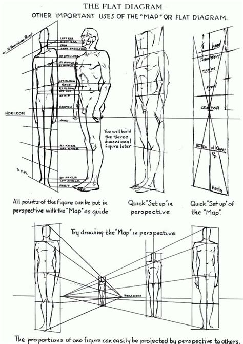 Proportions of the Human Figure : How to Draw the Human Figure in the ...