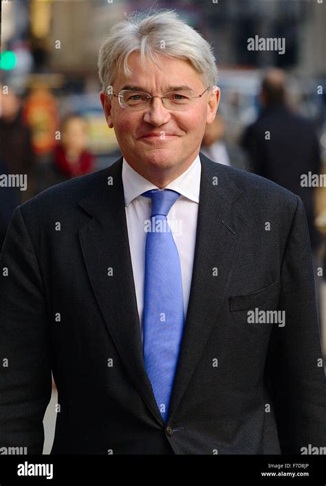 Andrew Mitchell MP outside the Royal Courts of Justice Stock Photo - Alamy