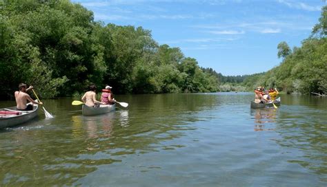 Dog-Friendly Russian River Adventures Raft Trip