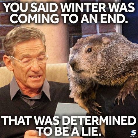 The Funniest 2024 Groundhog Day Memes to Share - Lola Lambchops