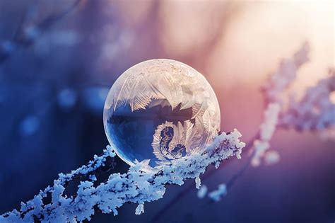 HD wallpaper: winter, soap bubble, frozen, flower, eiskristalle, ball ...