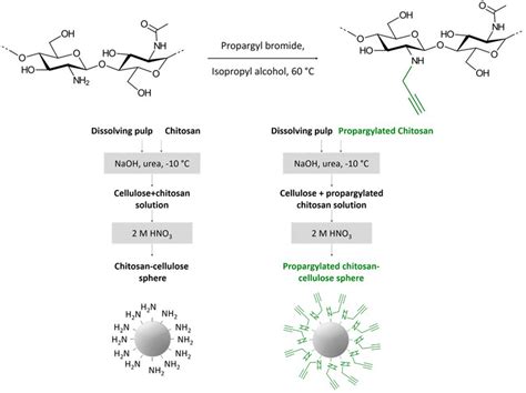 Synthesis scheme for the preparation of propargylated chitosan polymer ...