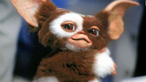 Gizmo Gremlins Wallpaper ·① WallpaperTag