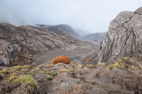 Nevado del Ruiz: Visiting a Volcano in Colombia