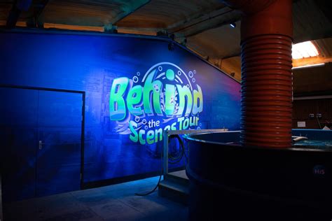 Weymouth SEA LIFE unveils brand new behind the scenes experience ...